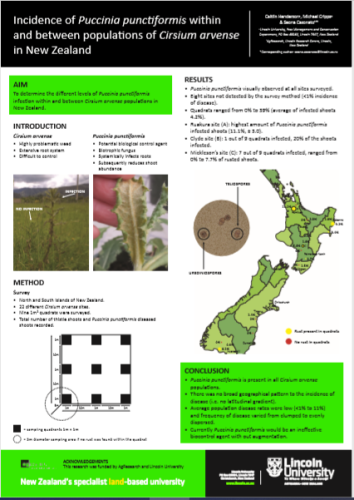 Incidence of Puccinia punctiformis poster